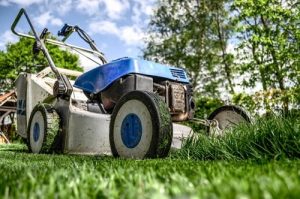 Buying an Electric Lawn Mower