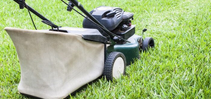 choosing a lawnmower