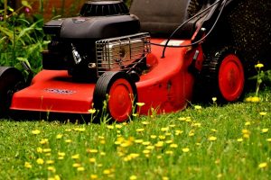 mow the lawn | Ricardo S Lawn Mower Repair