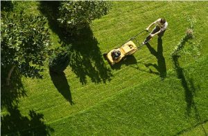 lawn mower | Ricardo S Lawn Mower Repair LLC & Service