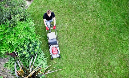 summer lawn care | Greg's Small Engine